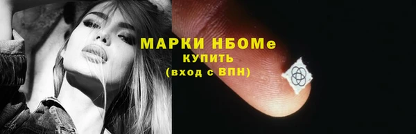 шишки Бородино